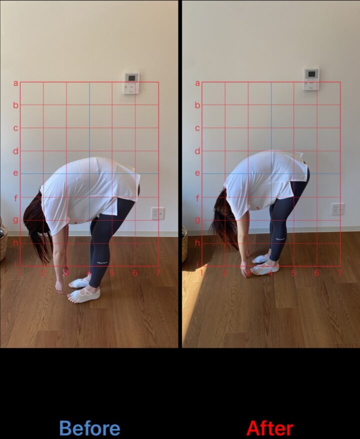 WEBサイト公開のお知らせの画像